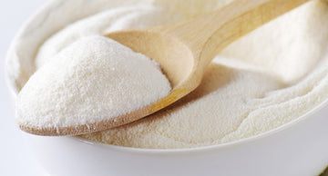 Proteína en polvo: ¡todo lo que necesitas saber!